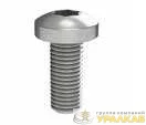 Винт M5х25 RAM power для шинного держателя (уп.20шт) DKC 