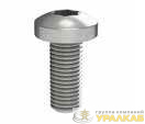 Винт М5х12 под шлиц Torx (уп.100шт) DKC 