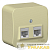 Розетка компьютерная 2-м ОП Blanca RJ45 кат.5E с изолир. пластиной беж. SE 