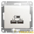Розетка USB 2-м СП Glossa тип A+A 5В/2100мА 2х5В/1050мА механизм перламутр. SE 