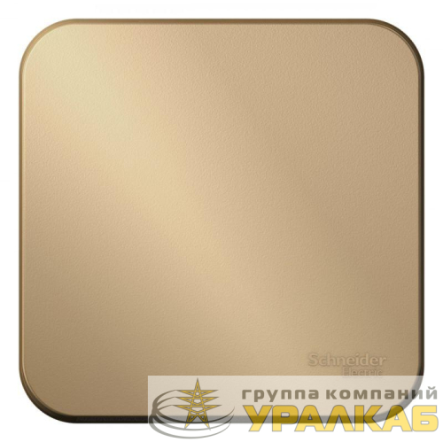 Выключатель 1-кл. ОП Blanca 10А IP20 (сх. 1) 250В титан SE 
