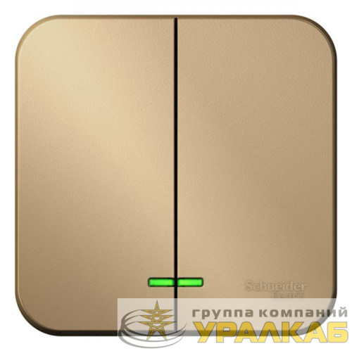 Выключатель 2-кл. ОП Blanca 10А IP20 (сх. 5) 250В титан SE 
