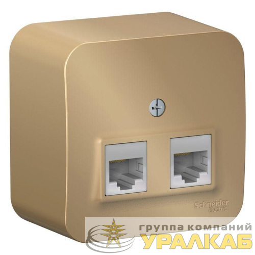Розетка компьютерная 2-м ОП Blanca RJ45 кат.5E с изолир. пластиной титан SE 