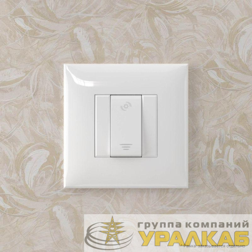 Диммер кнопочный СП Avanti "Белое облако" DKC 