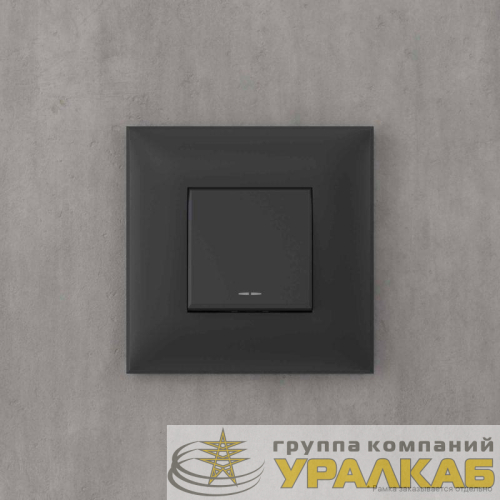 Инвертор 1-кл. СП Avanti "Черный матовый" DKC 