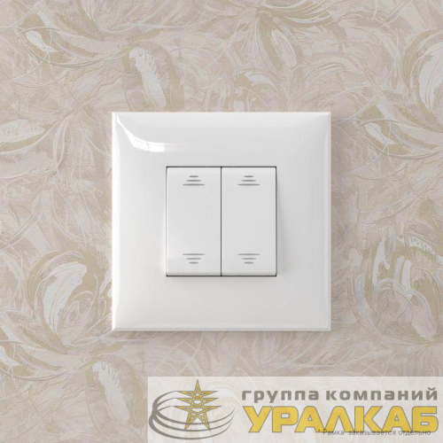 Инвертор 2-кл. СП "Avanti" "Белое облако" DKC 