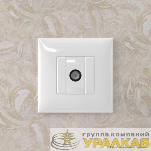 Розетка телевизионная оконечная TV СП Avanti "Белое облако" DKC 