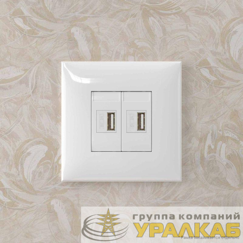 Устройство зарядное USB СП Avanti "Белое облако" DKC 