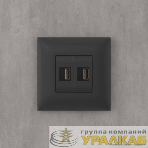 Устройство зарядное USB СП Avanti "Черный матовый" DKC 