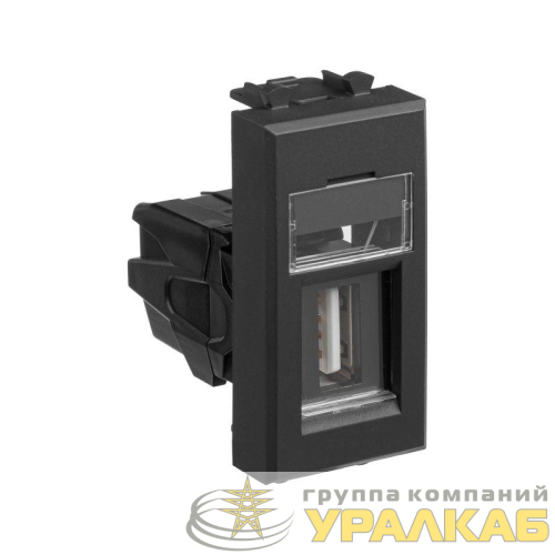 Розетка USB 2.0 1мод. Avanti "Черный матовый" тип А-А модульная DKC 