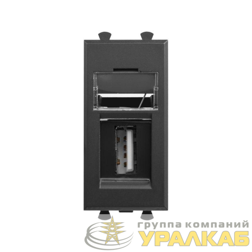 Розетка USB 2.0 1мод. Avanti "Черный матовый" тип А-А модульная DKC 