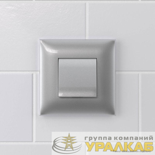 Вывод кабеля из стены "Avanti" "Закаленная сталь" DKC 