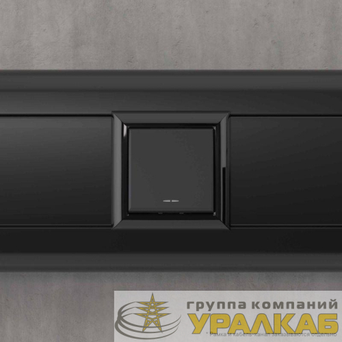 Инвертор модульный 1-кл. 2мод. Avanti "Черный матовый" DKC 