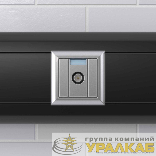 Розетка телевизионная проходная TV 1мод. Avanti "Закаленная сталь" DKC 
