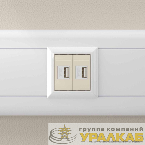 Устройство зарядное USB 2.1А 2мод. Avanti "Ванильная дымка" DKC 