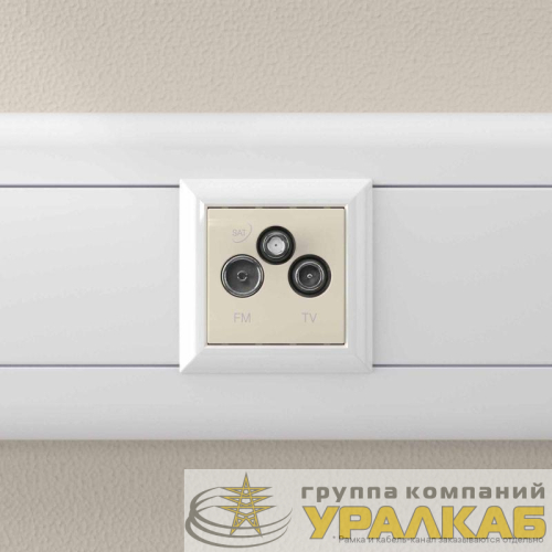 Розетка телевизионная TV/FM/SAT 2мод. 16А Avanti "Ванильная дымка" DKC 