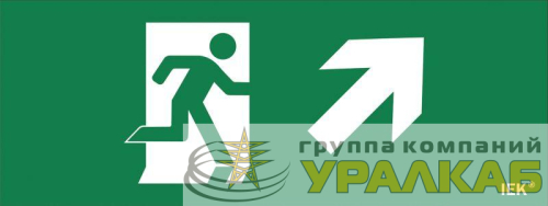 Этикетка самоклеящаяся "Фигура/стрелка вверх вправо" ДПА IP20/54 IEK 