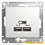 Розетка USB 2-м СП Glossa тип A+A 5В/2.1А 2х5В/1.05А механизм бел. SE 