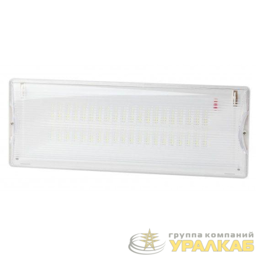 Светильник светодиодный DPA-301-1-65 IP65 40LED 3ч аварийный постоянный Эра 