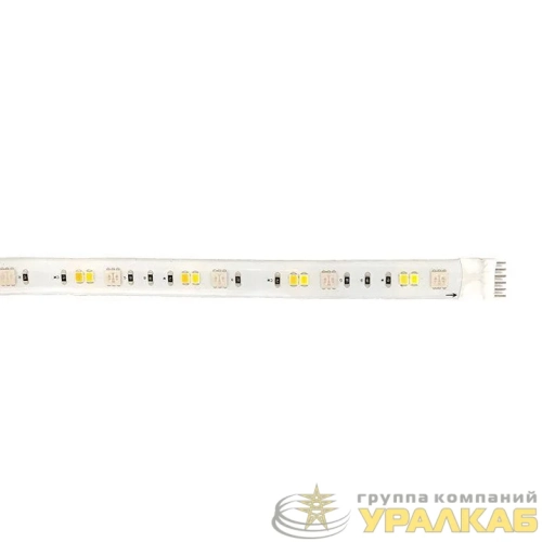 Лента светодиодная умная Connect RGBW (уп.5м) EKF 