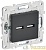Розетка USB A+A 3.1А SKANDY SK-R15G графит IEK 