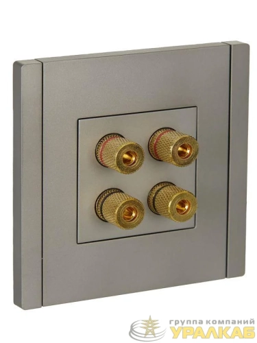 Аудиорозетка 4-м FORTE&PIANO FP539 сталь IEK 