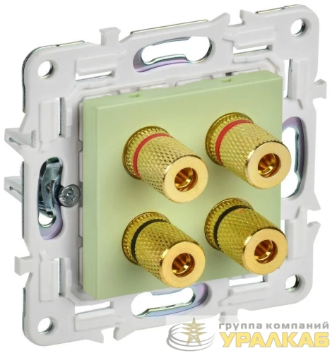 Аудиорозетка 4-м SKANDY SK-A01G мятный IEK 
