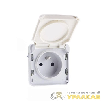 Розетка 1-м СП Plexo 16А IP55 250В 2P+E франц. стандарт винт. клеммы бел. Leg 