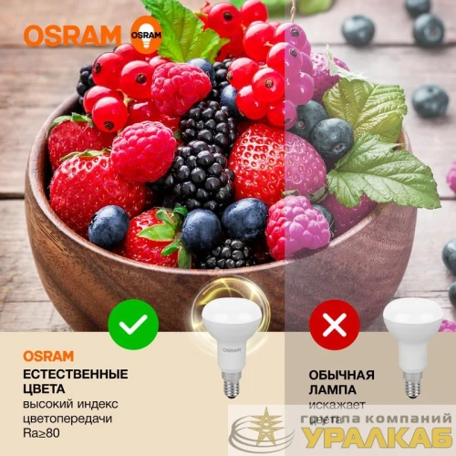 Лампа светодиодная LED Value LV R50 60 7SW/830 7Вт рефлектор матовая E14 230В 10х1 RU OSRAM 
