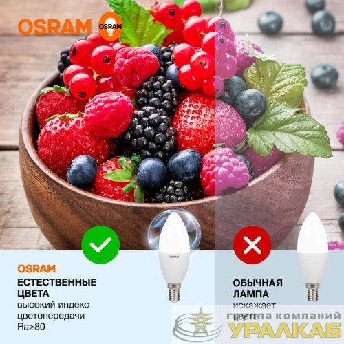 Лампа светодиодная LED Value LVCLB75 10SW/865 10Вт свеча матовая E14 230В 10х1 RU OSRAM 