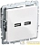 Розетка BRITE USB A+A 3.1А РЮ10-1-БрБ механизм бел. IEK 