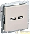 Розетка BRITE USB A+A 3.1А РЮ10-1-БрКр механизм беж. IEK 