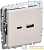 Розетка BRITE USB A+C 18Вт РЮ11-1-БрКр механизм беж. IEK 