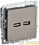 Розетка BRITE USB A+A 3.1А РЮ10-1-БрШ механизм шампань IEK 