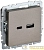 Розетка BRITE USB A+C 18Вт РЮ11-1-БрШ механизм шампань IEK 