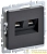 Розетка компьютерная 2-м СП BRITE RJ45 кат.5E РК10-2-БрГ механизм графит IEK 