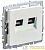 Розетка двойная СП BRITE RJ11+RJ45 кат.5E РК/Т12-БрЖ механизм жемчуж. IEK 