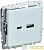 Розетка BRITE USB A+C 18Вт РЮ11-1-БрЖ механизм жемчуж. IEK 