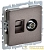 Розетка компьютерная + телевизионная 2-м Brite РТВ/РК12-БрТБ RJ45 кат.5E + TV механизм бронза IEK 