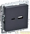 Розетка BRITE USB A+C 18Вт РЮ11-1-БрГ механизм графит IEK 