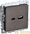 Розетка BRITE USB A+C 18Вт РЮ11-1-БрТБ механизм бронза IEK 