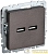 Розетка BRITE USB A+A 3.1А РЮ10-1-БрТБ механизм бронза IEK 