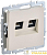 Розетка компьютерная двойн. СП RJ45 кат.5E BRITE РК10-2-БрКр механизм беж. IEK 