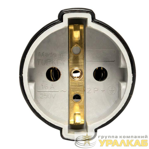 Гнездо штепсельное с заземл. черн. 16А 250В PROxima EKF 