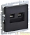 Розетка компьютерная двойн. СП RJ45 кат.5E BRITE РК10-2-БрЧ механизм черн. IEK 