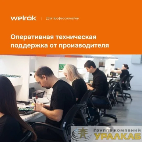 Терморегулятор pt Welrok 