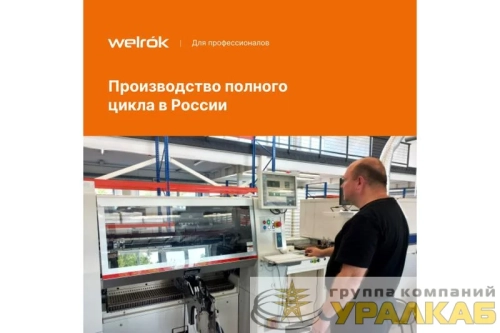 Терморегулятор pt red Welrok 