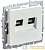 Розетка компьютерная двойн. СП RJ45 кат.5E BRITE РК10-2-БрЖ механизм жемчуж. IEK 