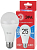 Лампа светодиодная ECO LED A65-25W-865-E27 R (диод груша 25Вт холодн. E27) (10/100/1200) Эра 