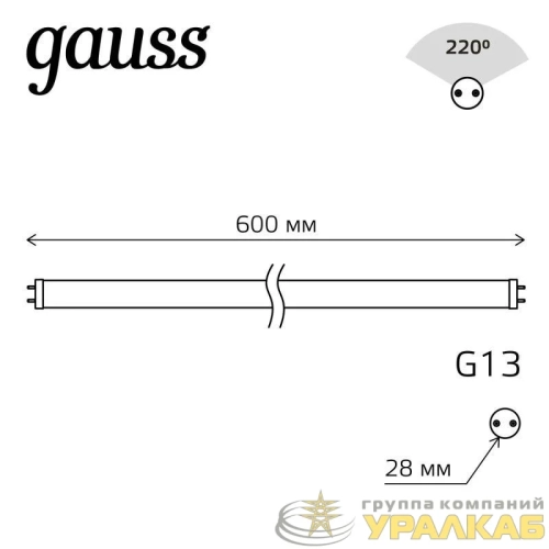 Лампа светодиодная Basic 10Вт T8 6500К G13 800лм 600мм стекло GAUSS 
